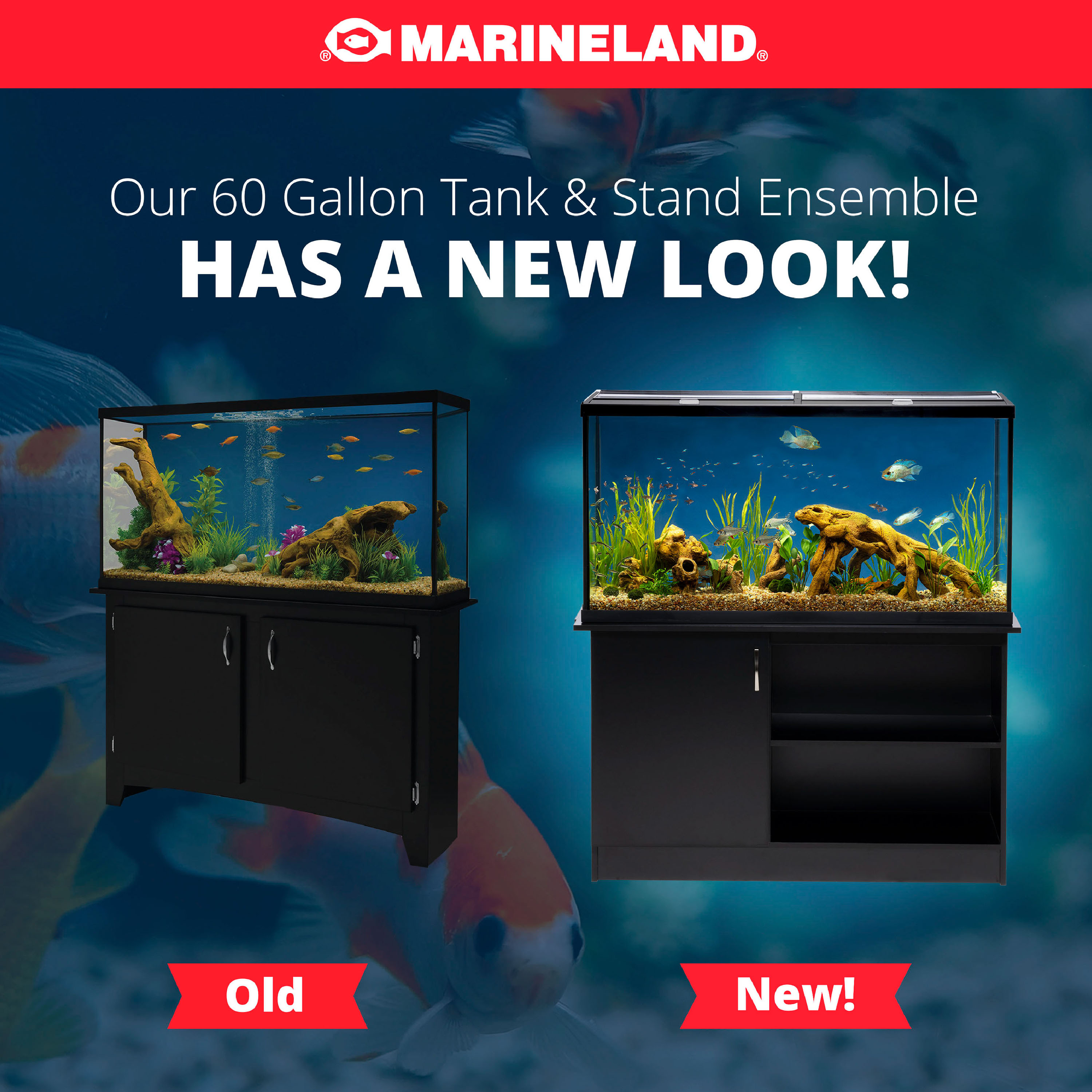 Petsmart 45 gallon tank store